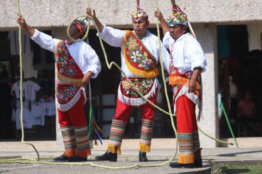 El Tajin, İspanyol öncesi şehir, Meksiko - Şubat 02, 2024. Voladores de Papantla Flyers, 2 Şubat 2024 'te El Tajin Veracruz Meksika' da Tanrılar için antik totonaca ayini gerçekleştiriyor.