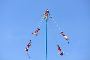 El Tajin, İspanyol öncesi şehir, Meksiko - Şubat 02, 2024. Voladores de Papantla Flyers, 2 Şubat 2024 'te El Tajin Veracruz Meksika' da Tanrılar için antik totonaca ayini gerçekleştiriyor.
