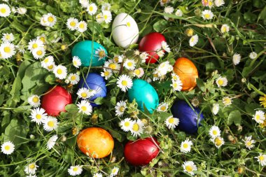 Paskalya bayramında, güzel bahar çayırlarında, yeşil yağlı havalarda renkli yumurtaların kapanışı. Hıristiyan ve katolik bayramın geleneksel sembolü. Geleneksel çocuk avı için yumurta