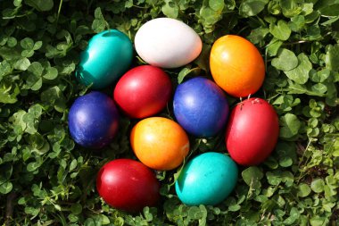 Paskalya bayramında, güzel bahar çayırlarında, yeşil yağlı havalarda renkli yumurtaların kapanışı. Hıristiyan ve katolik bayramın geleneksel sembolü. Geleneksel çocuk avı için yumurta