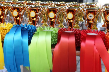 Açık hava binicilik yarışının kazananları ve katılımcıları için güzel renkli ödüller ve kurdeleler.      