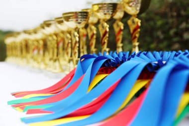 Açık hava binicilik etkinliğine katılanlar için harika binicilik ödülleri ve ödülleri.