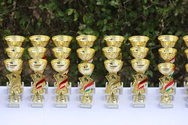 Açık hava binicilik etkinliğine katılanlar için harika binicilik ödülleri ve ödülleri.