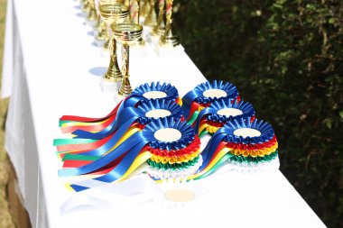 Açık hava binicilik etkinliğine katılanlar için harika binicilik ödülleri ve ödülleri.