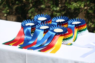 Açık hava binicilik etkinliğine katılanlar için harika binicilik ödülleri ve ödülleri.