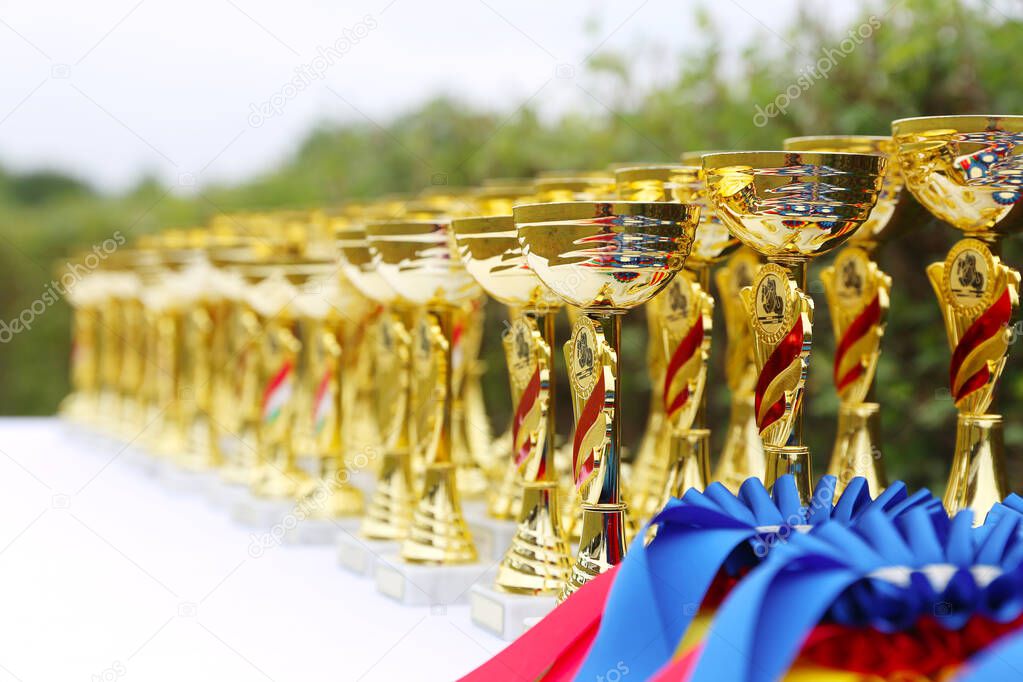 Wonderful equestrian prizes and awards for the participants at an open air equestrian event summertime outdoors
