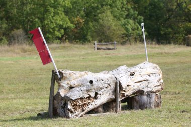 Engel, atların önündeki engel yeşil bir çayırda duruyor. Binicilik arkaplanı.