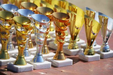 Amatör binicilik şampiyonasından sonra yarışmacıları bekleyen ödüller. Açık hava spor müsabakalarında kazananlara altın gümüş ve bronz ödüller. Renkli spor ödülü arka planı