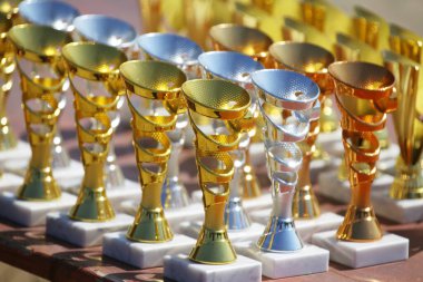 Amatör binicilik şampiyonasından sonra yarışmacıları bekleyen ödüller. Açık hava spor müsabakalarında kazananlara altın gümüş ve bronz ödüller. Renkli spor ödülü arka planı