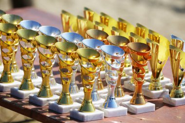 Amatör binicilik şampiyonasından sonra yarışmacıları bekleyen ödüller. Açık hava spor müsabakalarında kazananlara altın gümüş ve bronz ödüller. Renkli spor ödülü arka planı