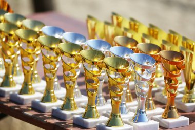 Amatör binicilik şampiyonasından sonra yarışmacıları bekleyen ödüller. Açık hava spor müsabakalarında kazananlara altın gümüş ve bronz ödüller. Renkli spor ödülü arka planı