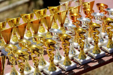 Amatör binicilik şampiyonasından sonra yarışmacıları bekleyen ödüller. Açık hava spor müsabakalarında kazananlara altın gümüş ve bronz ödüller. Renkli spor ödülü arka planı