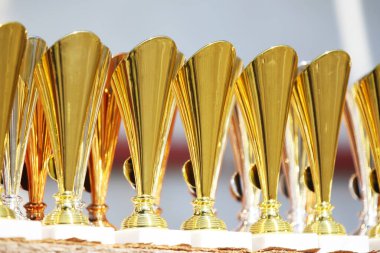 Amatör binicilik şampiyonasından sonra yarışmacıları bekleyen ödüller. Açık hava spor müsabakalarında kazananlara altın gümüş ve bronz ödüller. Renkli spor ödülü arka planı