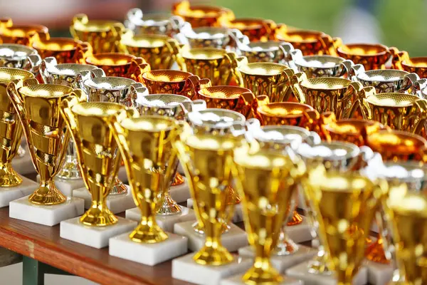 stock image Award trophies waiting for competitors after amateur equestrian championship in row. Golden silver and bronze prizes for winners at an outdoors sport event. Colorful sport trophy background