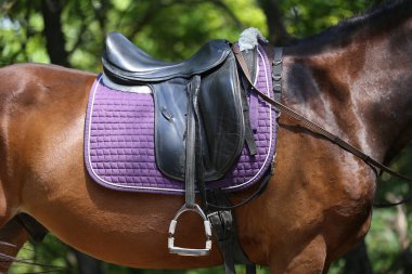 Beautiful leather riding saddle and horse blanket on horseback before a rural trail ride. Equestrian life clipart