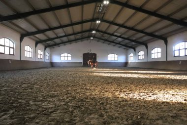 Güzel bir binicilik salonunda, doğal ışıklarda ata binen bilinmeyen bir kadının görüntüsü. Atlı kız antrenman sırasında aktif bir hayat sürüyor. Binicilik etkinliğinde mükemmel sürüş. 