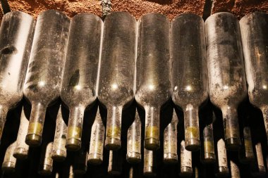 Şarap, kırsal bir mahzende küflü şişelerde olgunlaşır. Üzüm bağı geçmişi. Sığ dof