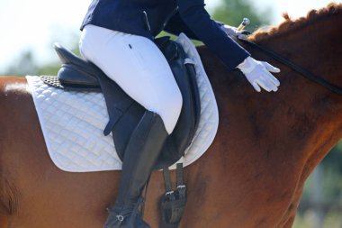 Yaz yarışmasında eyer altında bir binicilik atının yakın çekimi. Bir yarış atının üzerinde güzel kaliteli deri eyer.