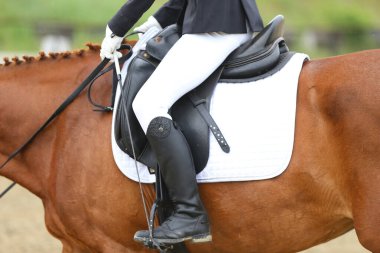 Yaz yarışmasında eyer altında bir binicilik atının yakın çekimi. Bir yarış atının üzerinde güzel kaliteli deri eyer.