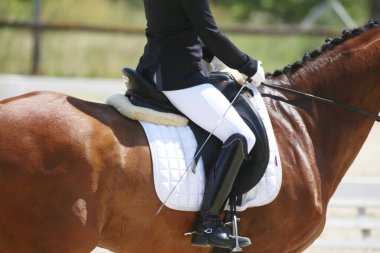 Yaz yarışmasında eyer altında bir binicilik atının yakın çekimi. Bir yarış atının üzerinde güzel kaliteli deri eyer.