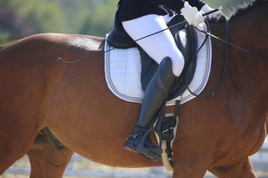 Yaz yarışmasında eyer altında bir binicilik atının yakın çekimi. Bir yarış atının üzerinde güzel kaliteli deri eyer.