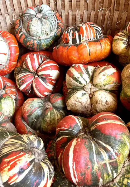 Bir sürü farklı renkte balkabağı