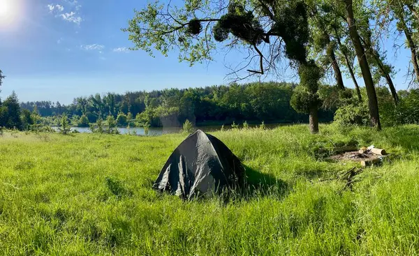 Ormanda küçük bir çadır.