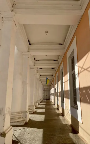 Binanın içinde Ukrayna bayrağı taşıyan koridor
