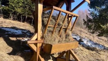 Ormanda vahşi hayvanlar için samanlı ahşap besleyici