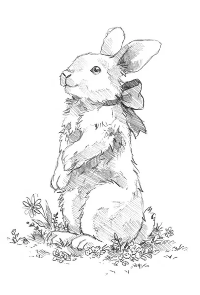 美丽的春天艺术与复活节兔子与弓 手绘线 — 图库照片