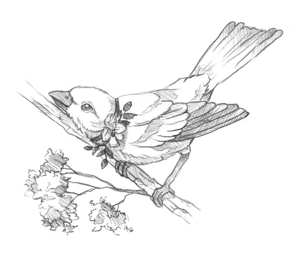 Прекрасное Весеннее Искусство Пасхальной Птицей Ручная Линия — стоковое фото