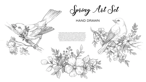 Piękny Wiosenny Zestaw Sztuki Ptakami Kwiatami Ręcznie Rysowane Linii — Zdjęcie stockowe