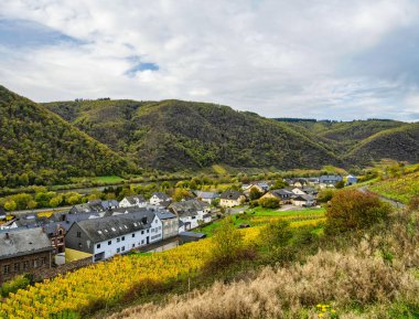 Alman şarap bölgesi köyü, Bruttig-Fankel Moselle nehri üzerinde Cochem-Zell, Almanya 'da üzüm bağları ve tepeleri olan