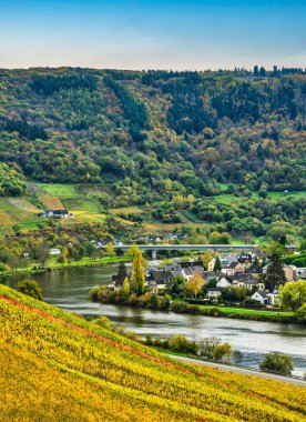 Senhals köyü, Moselle nehri kıyısında, Cochem-Zell, Almanya 'da yuvarlanan tepeler ve sarp üzüm bağları arasında yer alan bir vadi.