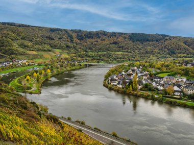 Senhals ve Senheim Moselle Nehri 'nin her iki yakasında, Almanya' nın Cochem-Zell eyaletinde yemyeşil bir dağ var.