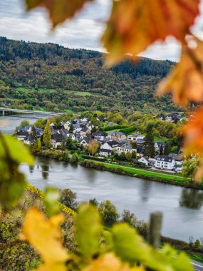 Moselle Nehri kıyısındaki Senhals köyü Almanya 'nın Cochem-Zell eyaletinde yer alan yaprakların arasından geçmektedir.
