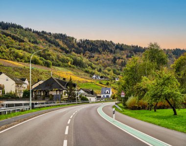 Almanya 'nın Cochem-Zell eyaletinde sonbahar aylarında yol kenarındaki Senheim köy evleri ve sarp vinyard' lar