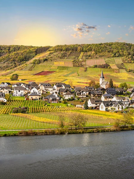 德国Moselle河畔的Ellenz Poltersdorf村和蓝天葡萄园的空中拍摄 — 图库照片