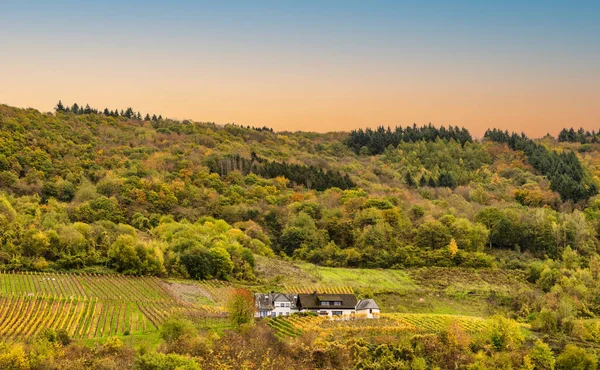 Almanya 'nın Cochem-Zell Distric kentinde sonbaharda, sarp bağlar ve yuvarlanan tepeler arasında, Senheim köyündeki bir çiftlik evi.