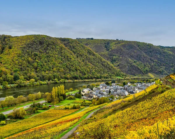 德国Cochem Zell的Moselle河陡峭葡萄园和茂密山脉之间山谷中的Bruttig Fankel村 — 图库照片