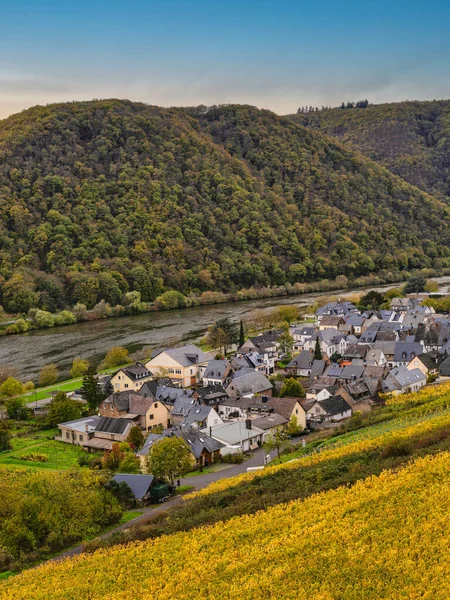 Bruttig-Fankel village in the valley between steep vineyards and rolling hills on Moselle river in Cochem-Zell, Germany
