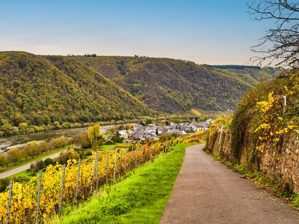 Bruttig-Fankel köyü sarp üzüm bağları ve Almanya 'nın Cochem-Zell kentindeki Moselle nehri üzerindeki yemyeşil dağlar boyunca dar bir yol.