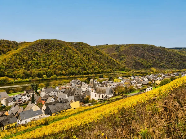 Bruttig Fankel Dorf Der Mosel Und Sanfte Hügel Mit Bunten — Stockfoto