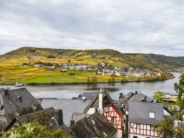 从德国Moselle河Beilstein看Ellenz Poltersdorf村葡萄园 — 图库照片