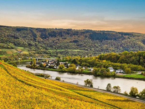 Senhals Wieś Dolinie Wzdłuż Brzegu Rzeki Moselle Między Wzgórzami Stromymi — Zdjęcie stockowe