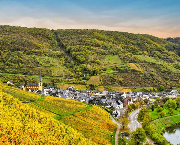 德国Cochem Zell区Moselle河上的Senheim村和陡峭的葡萄园 — 图库照片
