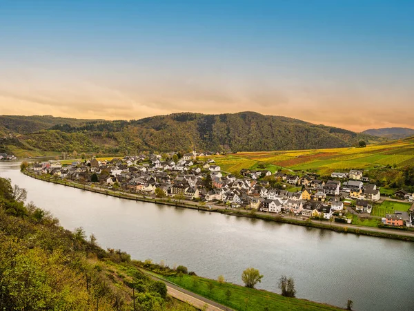 德国Cochem Zell区的Ellenz Poltersdorf村和Moselle河上五彩缤纷的葡萄园的空中拍摄 — 图库照片