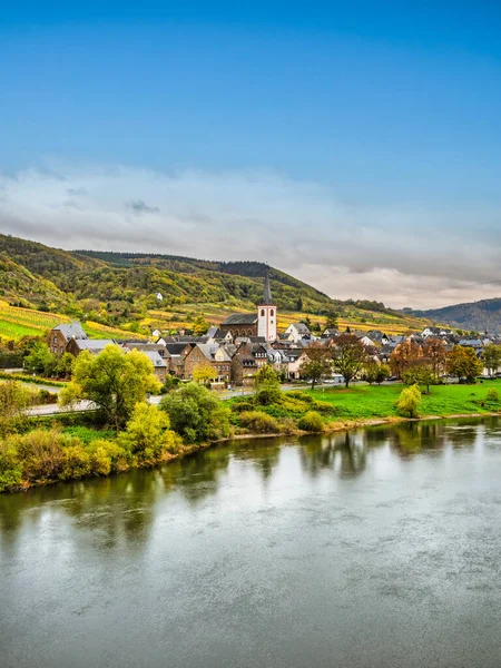德国Cochem Zell的Moselle河岸Bruttig Fankel村和五彩缤纷的葡萄园 — 图库照片