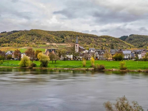 德国Cochem Zell的Moselle河岸Bruttig Fankel村和翻滚的山丘 — 图库照片