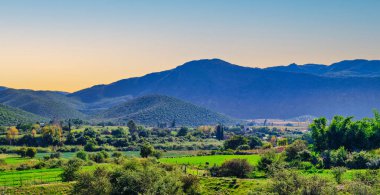 Resimli Oudtshoorn Vadisi 'nde şarap ünlüsü. Yuvarlanan tepeler, görkemli dağlar, Oudtshoorn, Bahçe Yolu, Batı Burnu, Güney Afrika